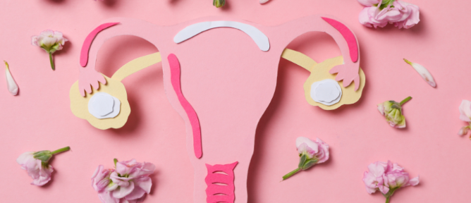 干細(xì)胞治療卵巢早衰：如何實(shí)現(xiàn)短期卵巢功能改善到長期卵巢組織的恢復(fù)？