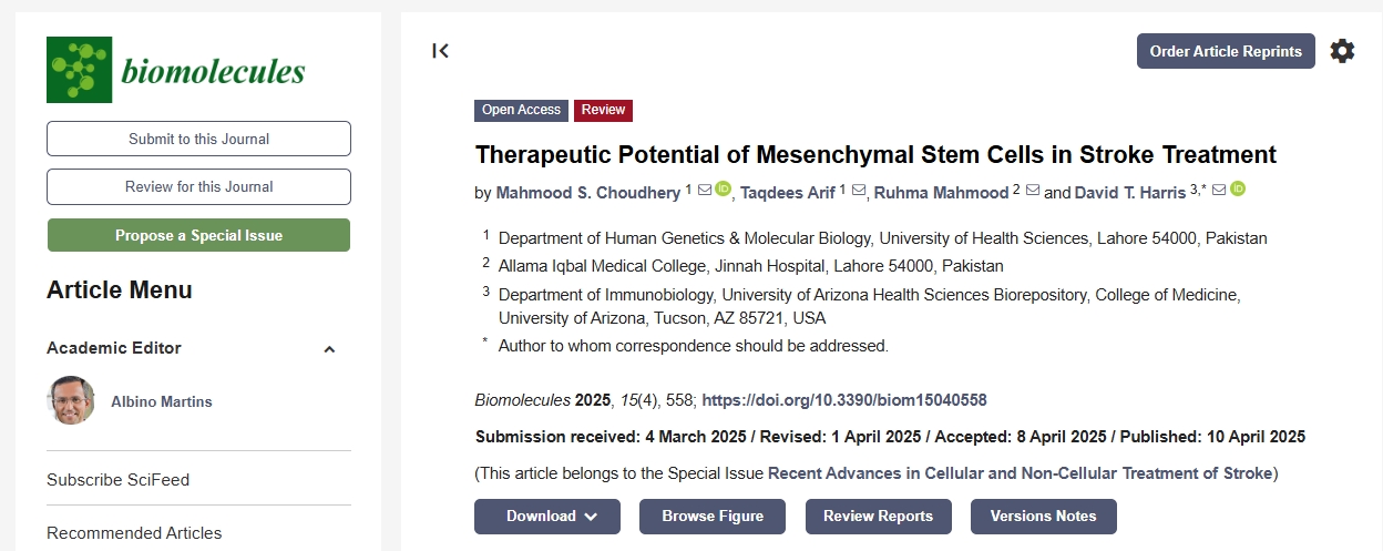 間充質干細胞在中風治療中的治療潛力 間充質干細胞在中風治療中的治療潛力