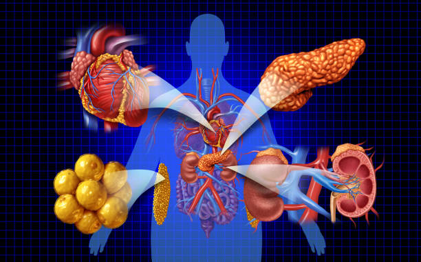 新視角：優(yōu)化間充質(zhì)干細(xì)胞治療糖尿病腎病療效的方式有哪些？