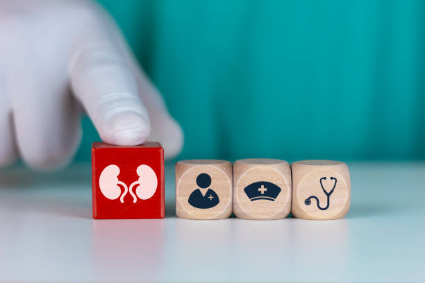 干細(xì)胞治療腎病的短期安全性：機(jī)制與臨床證據(jù)