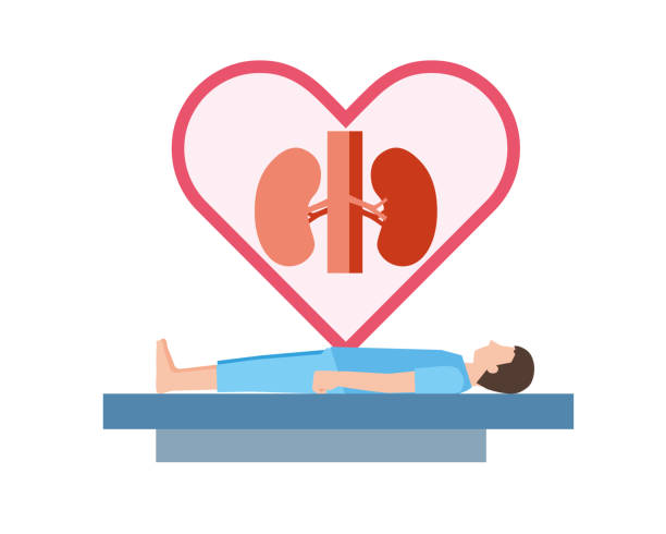 干細胞治療腎病的長期安全性如何？10年隨訪記錄告訴你答案