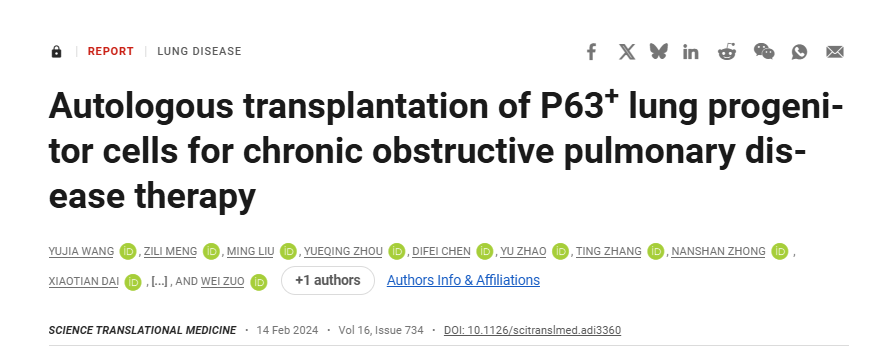 P63?+肺祖細(xì)胞自體移植治療慢性阻塞性肺病