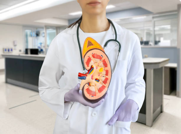 哪些腎病患者適合嘗試干細(xì)胞治療？覆蓋急性、慢性及免疫相關(guān)腎病