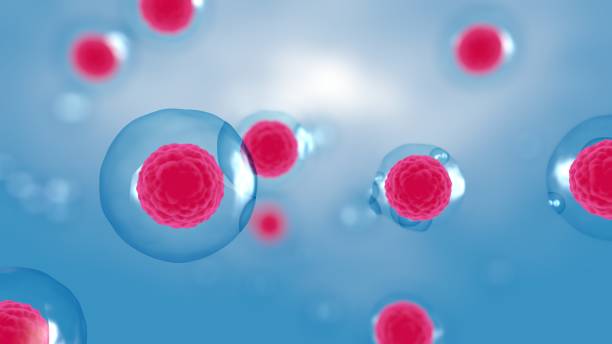 間充質(zhì)干細(xì)胞雙機(jī)制協(xié)同：免疫調(diào)節(jié)＋旁分泌活性解鎖自身免疫疾病治療新維度