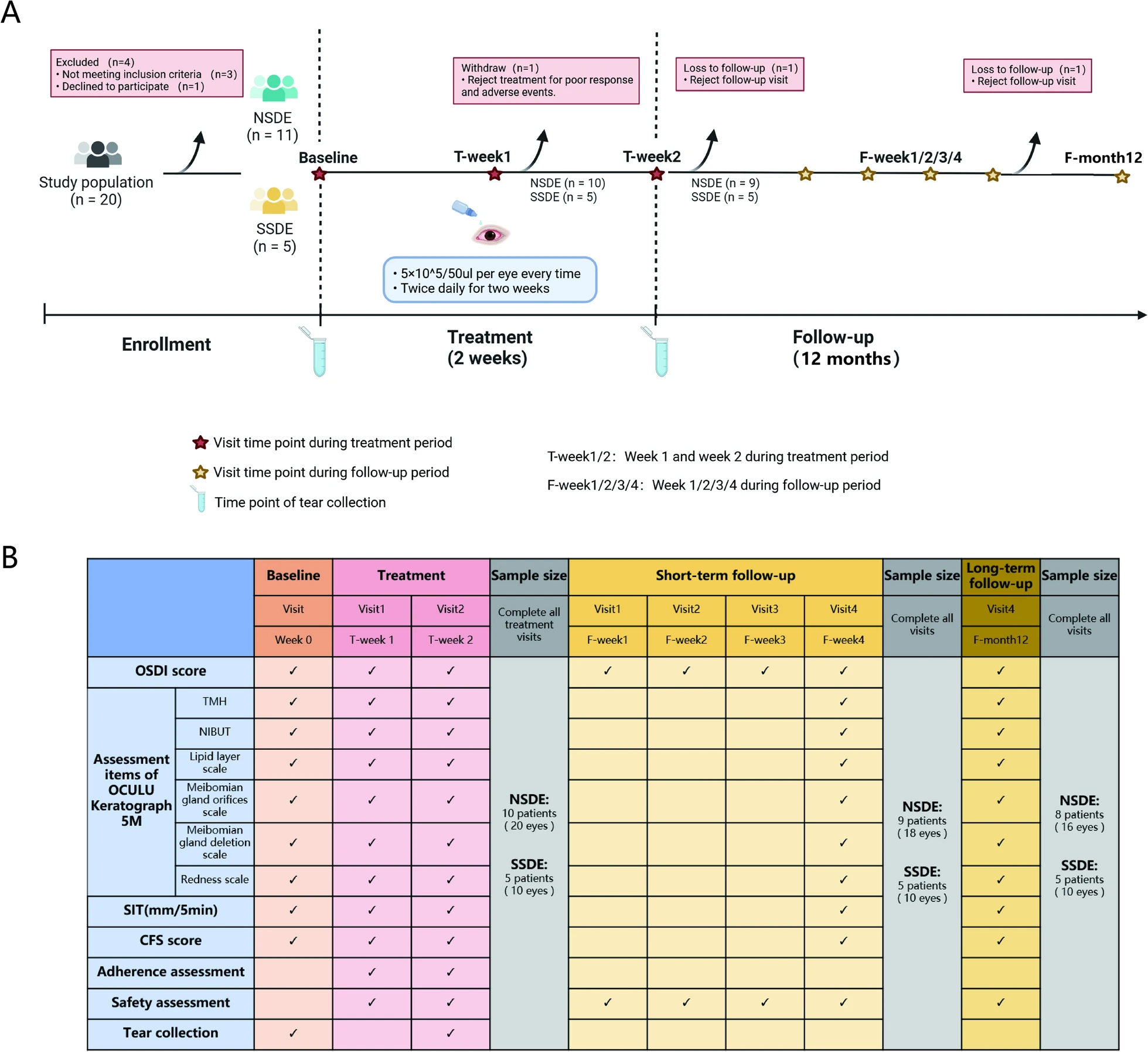 圖1：臨床試驗(yàn)設(shè)計(jì)。