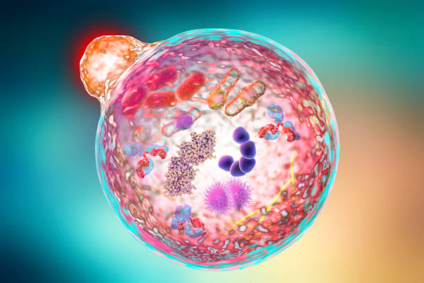 治愈疾病的建筑師(細(xì)胞):細(xì)胞療法的醫(yī)學(xué)發(fā)展史?