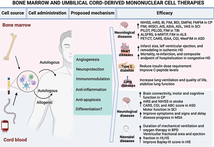 圖1：BMMNC和UCB-MNC的潛在應用。
