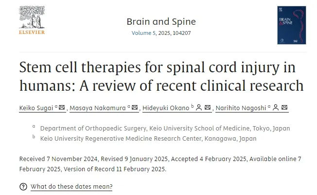 人類脊髓損傷的干細胞療法：近期臨床研究進展與轉(zhuǎn)化路徑分析