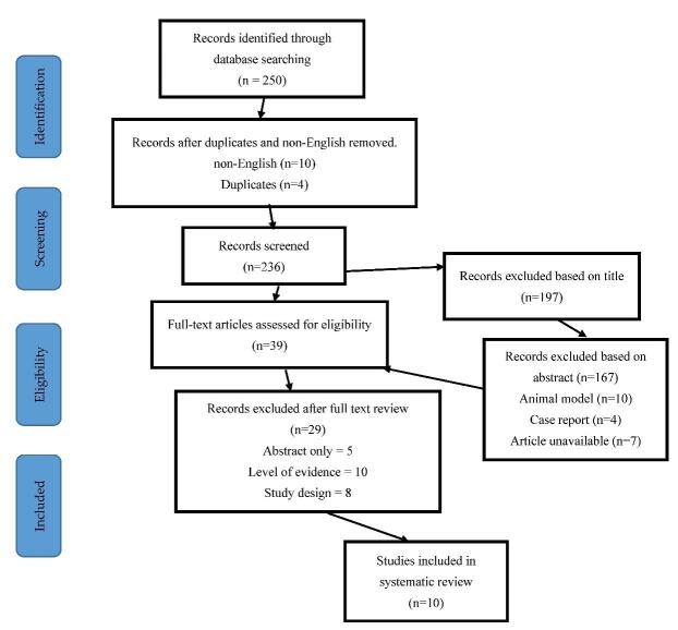 圖1：研究識別和選擇的流程圖-PRISMA圖（PRISMA，系統(tǒng)評價和薈萃分析的首選報告項目）。