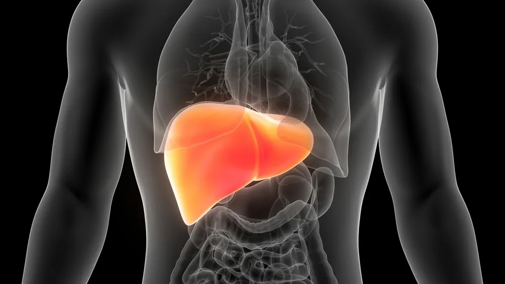 2025年1-10月干細(xì)胞治療肝衰竭的臨床最新進展指南 2025年1-10月干細(xì)胞治療肝衰竭的臨床最新進展指南