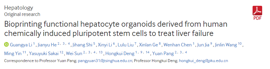 生物打印源自人類化學(xué)誘導(dǎo)多能干細(xì)胞的功能性肝細(xì)胞類器官以治療肝功能衰竭 生物打印源自人類化學(xué)誘導(dǎo)多能干細(xì)胞的功能性肝細(xì)胞類器官以治療肝功能衰竭