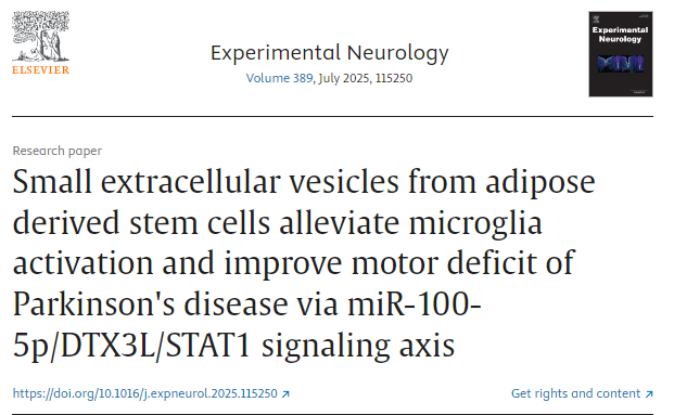 脂肪來源干細(xì)胞的小細(xì)胞外囊泡通過 miR-100-5p/DTX3L/STAT1 信號軸減輕小膠質(zhì)細(xì)胞活化并改善帕金森病的運(yùn)動障礙