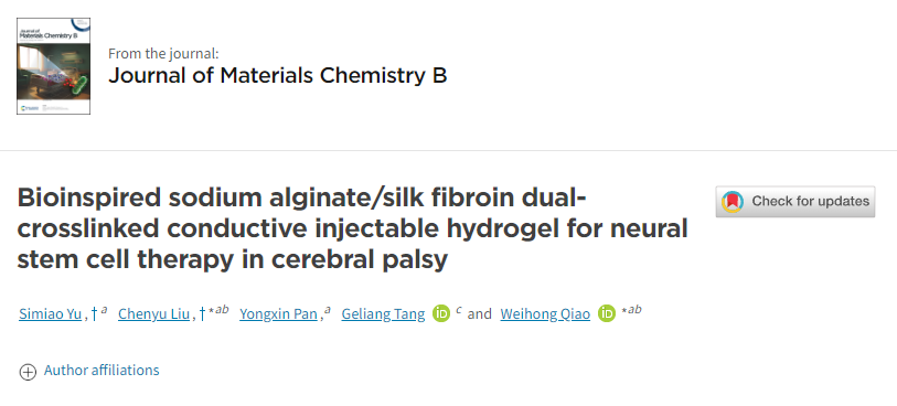 用于腦癱神經(jīng)干細(xì)胞治療的仿生海藻酸鈉/絲素蛋白雙交聯(lián)導(dǎo)電注射水凝膠