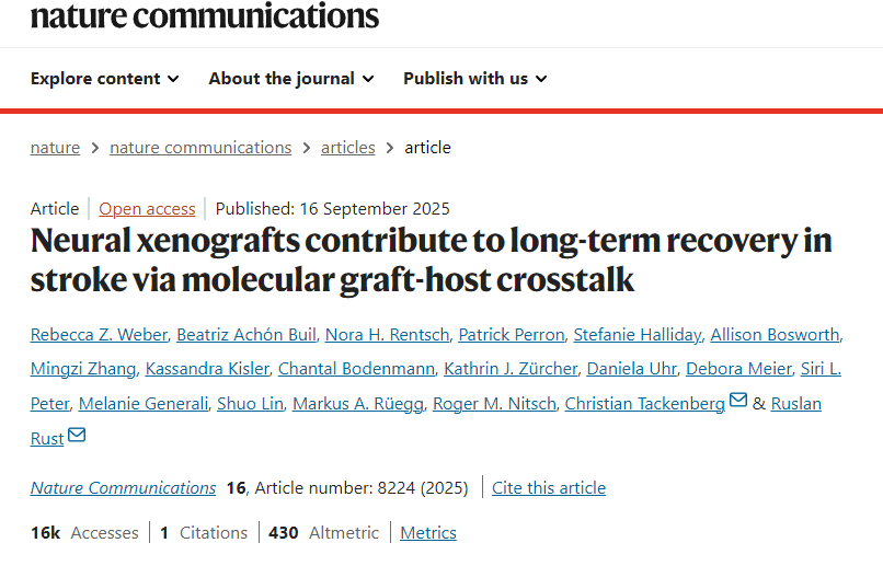 神經(jīng)異種移植通過分子移植物-宿主相互作用促進中風后的長期康復 神經(jīng)異種移植通過分子移植物-宿主相互作用促進中風后的長期康復