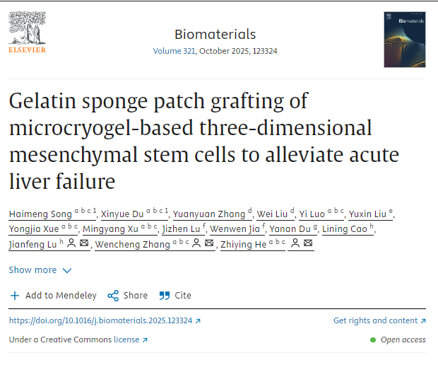 利用微冷凍凝膠構(gòu)建的三維間充質(zhì)干細(xì)胞進行明膠海綿貼片移植,以緩解急性肝衰竭