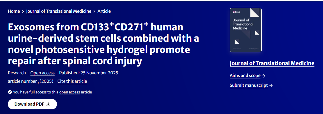 來(lái)自CD133?
+CD271+人尿源干細(xì)胞的外泌體與新型光敏水凝膠聯(lián)合使用可促進(jìn)脊髓損傷后的修復(fù)