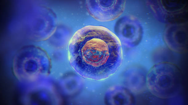 間充質(zhì)干細(xì)胞一針多少錢？2025年價(jià)格全景圖與避坑指南