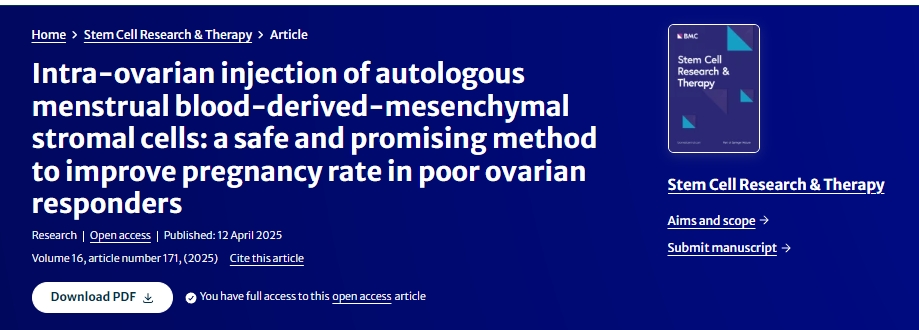 卵巢內(nèi)注射自體月經(jīng)血來(lái)源的間充質(zhì)基質(zhì)細(xì)胞:一種安全且有前景的提高卵巢反應(yīng)不佳者妊娠率的方法 卵巢內(nèi)注射自體月經(jīng)血來(lái)源的間充質(zhì)基質(zhì)細(xì)胞:一種安全且有前景的提高卵巢反應(yīng)不佳者妊娠率的方法