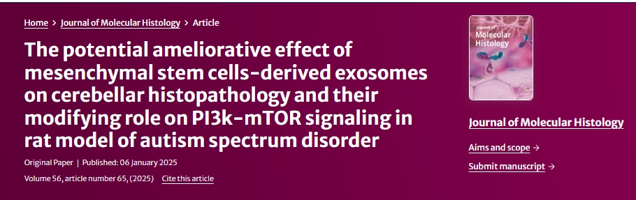 間充質(zhì)干細(xì)胞衍生的外泌體對自閉癥譜系障礙大鼠小腦組織病理學(xué)的潛在改善作用及其對 PI3k-mTOR 信號傳導(dǎo)的調(diào)節(jié)作用