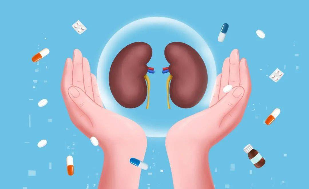 干細胞治療腎病國家叫停了？科學爭議與政策博弈背后的真相