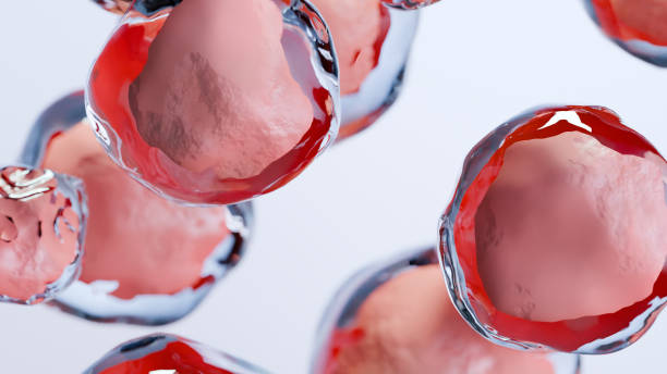 臍帶血干細(xì)胞移植的優(yōu)缺點有哪些：30kg以下首選，成人應(yīng)用存在瓶頸