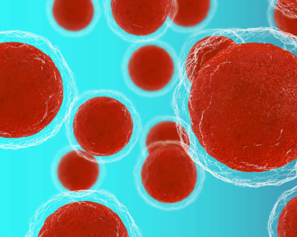 異體干細(xì)胞移植排異反應(yīng)概率有多大全解析:從40%高風(fēng)險(xiǎn)到9.1%的生存革命 異體干細(xì)胞移植排異反應(yīng)概率有多大全解析:從40%高風(fēng)險(xiǎn)到9.1%的生存革命