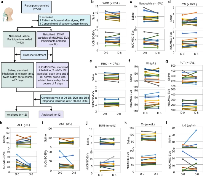 圖4：霧化hUCMSC-EVs對肺纖維化患者的臨床安全性。