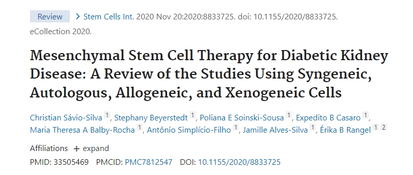 間充質(zhì)干細(xì)胞治療糖尿病腎病：同基因、自體、同種異體和異種異體細(xì)胞研究的回顧