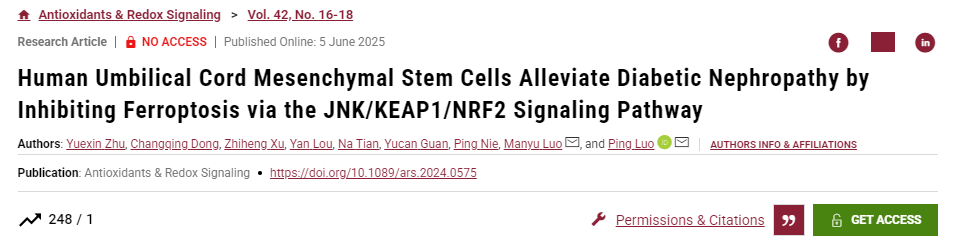 人臍帶間充質(zhì)干細(xì)胞通過(guò)JNK/KEAP1/NRF2信號(hào)通路抑制鐵死亡緩解糖尿病腎病 人臍帶間充質(zhì)干細(xì)胞通過(guò)JNK/KEAP1/NRF2信號(hào)通路抑制鐵死亡緩解糖尿病腎病
