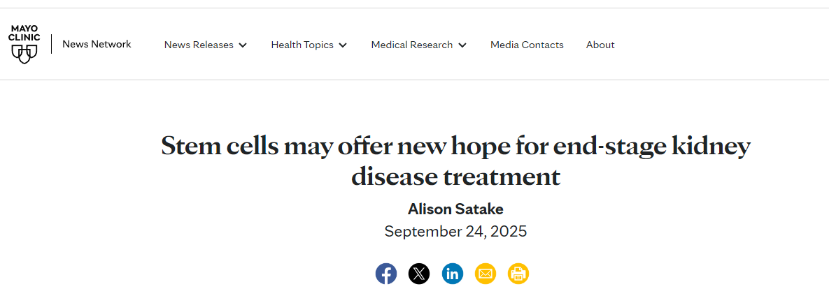 干細胞療法或?qū)榻K末期腎病治療帶來新的希望 干細胞療法或?qū)榻K末期腎病治療帶來新的希望