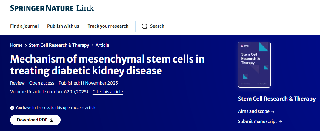 間充質(zhì)干細胞治療糖尿病腎病的機制