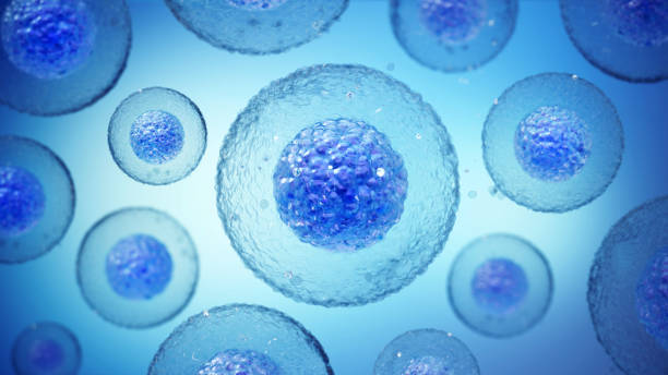 干細胞治療神經(jīng)退行性疾病的干細胞類型都有哪些？