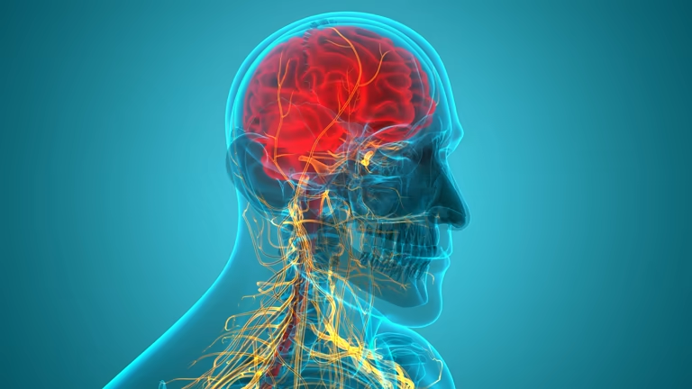 上海有哪些醫(yī)院開展了干細胞治療神經(jīng)系統(tǒng)與罕見病的研究？