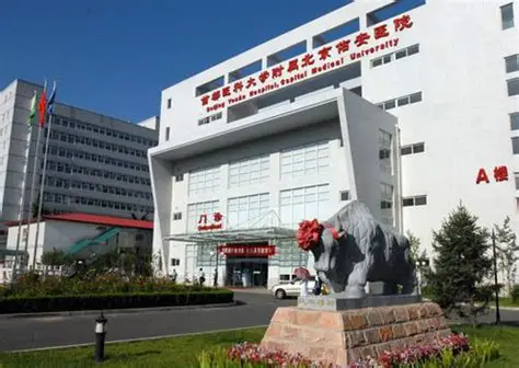 首都醫(yī)科大學附屬北京佑安醫(yī)院 首都醫(yī)科大學附屬北京佑安醫(yī)院