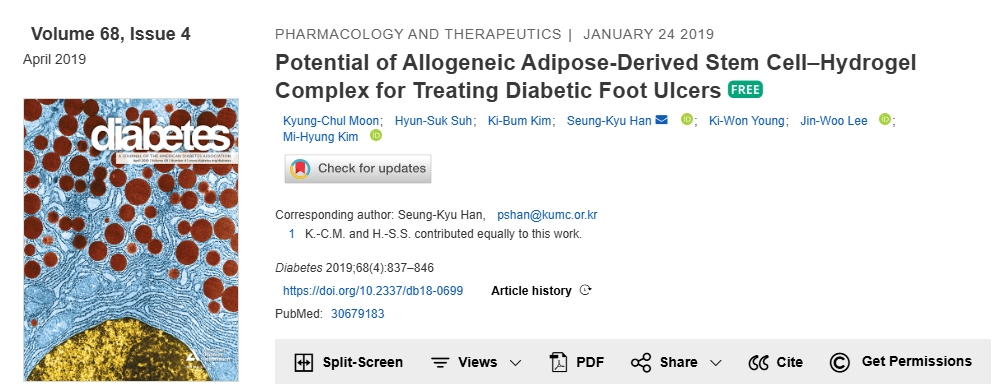 同種異體脂肪干細胞-水凝膠復(fù)合物治療糖尿病足潰瘍的潛力