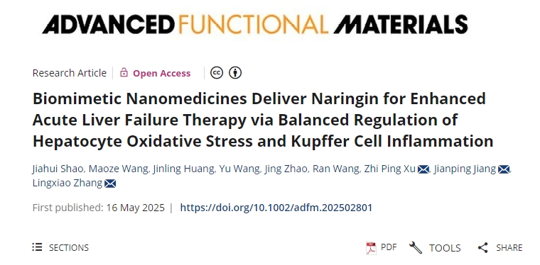 仿生納米藥物遞送柚皮苷，通過平衡調(diào)節(jié)肝細胞氧化應激和庫普弗細胞炎癥來增強急性肝衰竭治療