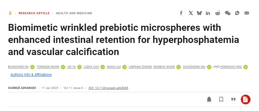 仿生皺紋益生元微球增強腸道保留，用于治療高磷血癥和血管鈣化