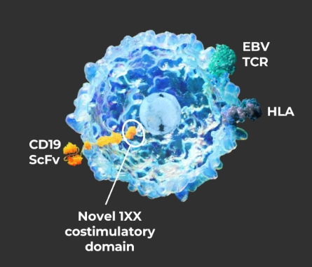 ATA3219設(shè)計(jì)圖 ATA3219設(shè)計(jì)圖