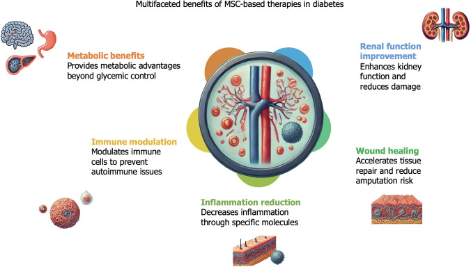圖5：間充質(zhì)干細胞療法對糖尿病患者的各種非血糖影響。