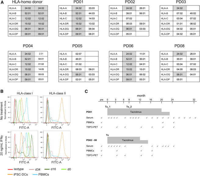 圖1:供體細胞和受體的HLA特征及免疫抑制方案 圖1:供體細胞和受體的HLA特征及免疫抑制方案