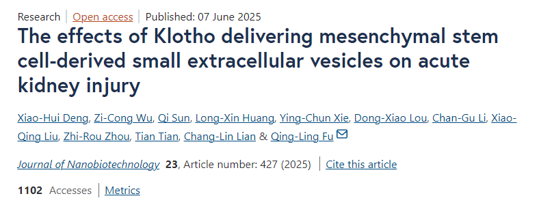 Klotho遞送間充質(zhì)干細胞來源的小細胞外囊泡對急性腎損傷的影響 Klotho遞送間充質(zhì)干細胞來源的小細胞外囊泡對急性腎損傷的影響