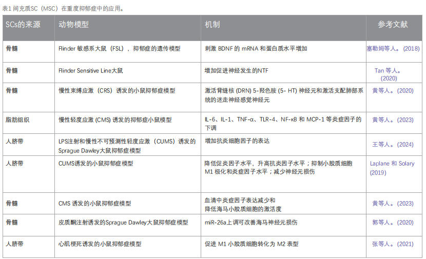 干細(xì)胞療法 干細(xì)胞療法