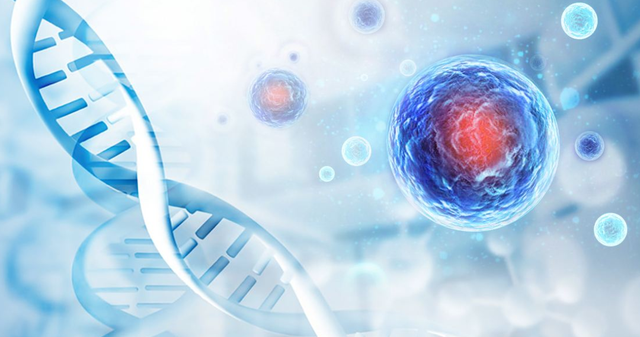 間充質(zhì)干細胞療法 間充質(zhì)干細胞療法