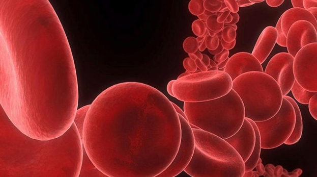 造血干細胞療法 造血干細胞療法