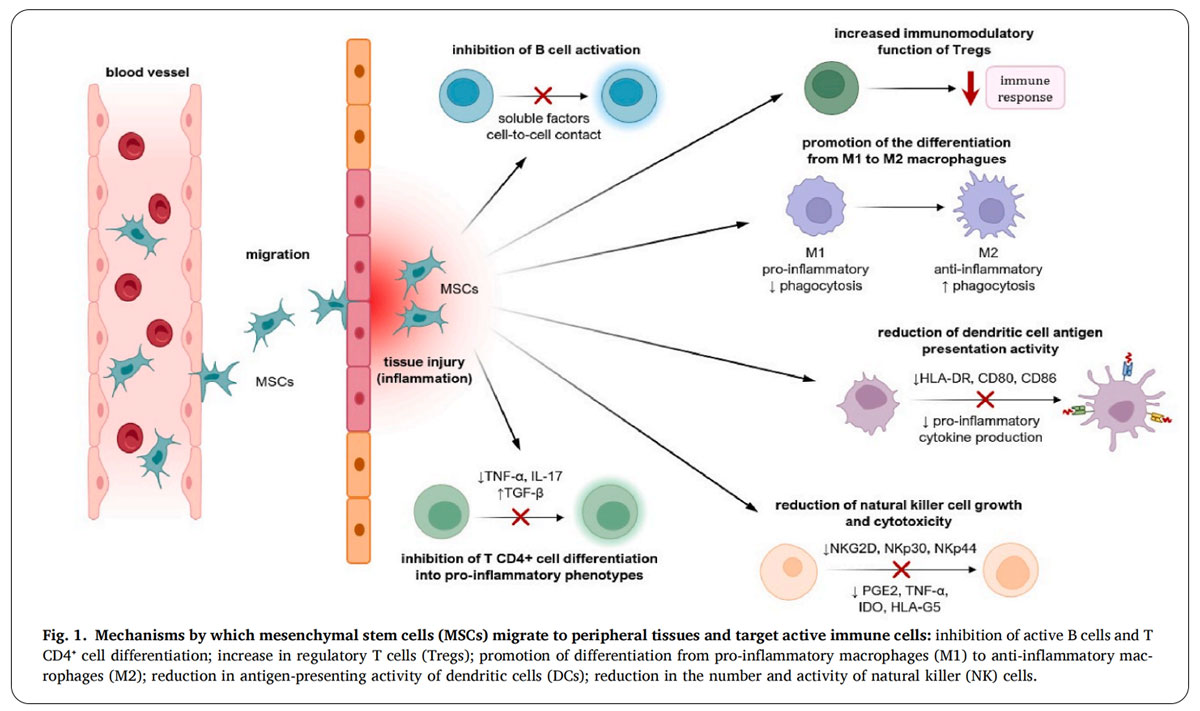 紅斑狼瘡臨床試驗(yàn) 紅斑狼瘡臨床試驗(yàn)