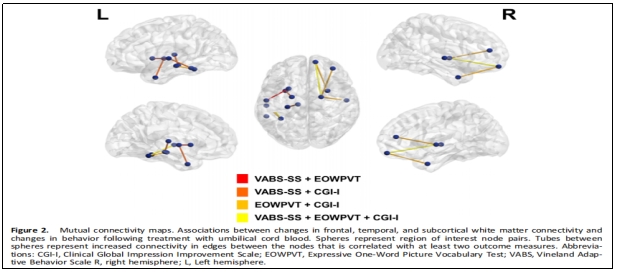 臨床試驗(yàn) 臨床試驗(yàn)