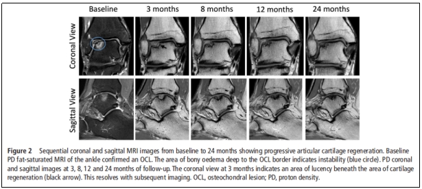 “臨床試驗” 臨床試驗