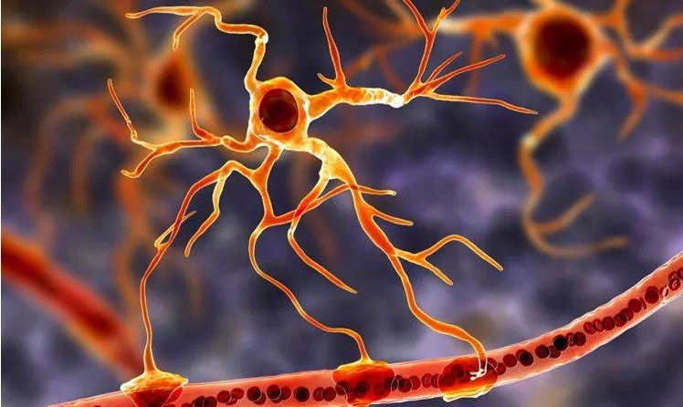 細胞治療 細胞治療