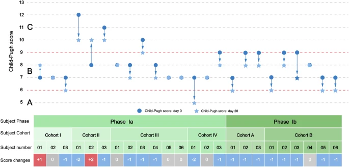 圖1：從基線到第28天，個(gè)人Child-Pugh評(píng)分的變化。