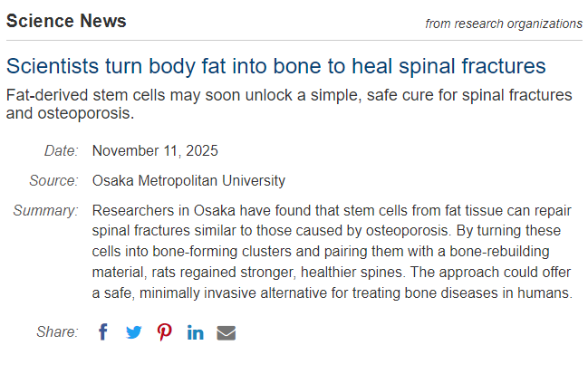 科學家將人體脂肪轉(zhuǎn)化為骨骼，用于修復(fù)脊柱骨折